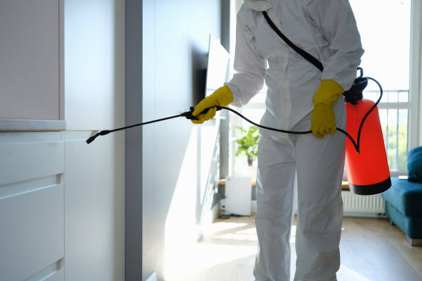 Best Professional Mold Removal  in Haddon Heights, NJ