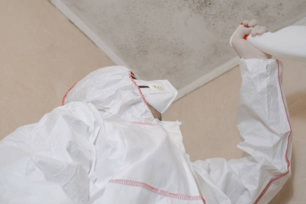 Best Local Mold Removal Service  in Haddon Heights, NJ